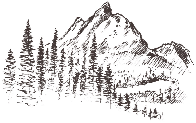 pencil sketch of mountain with trees