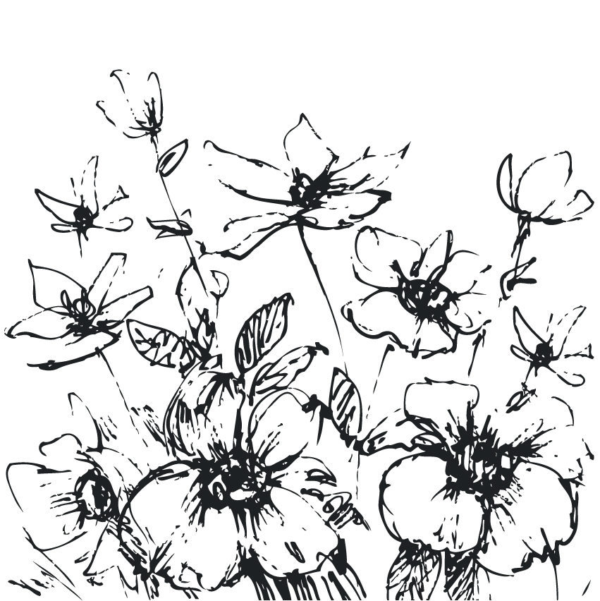 sketch of wild flowers