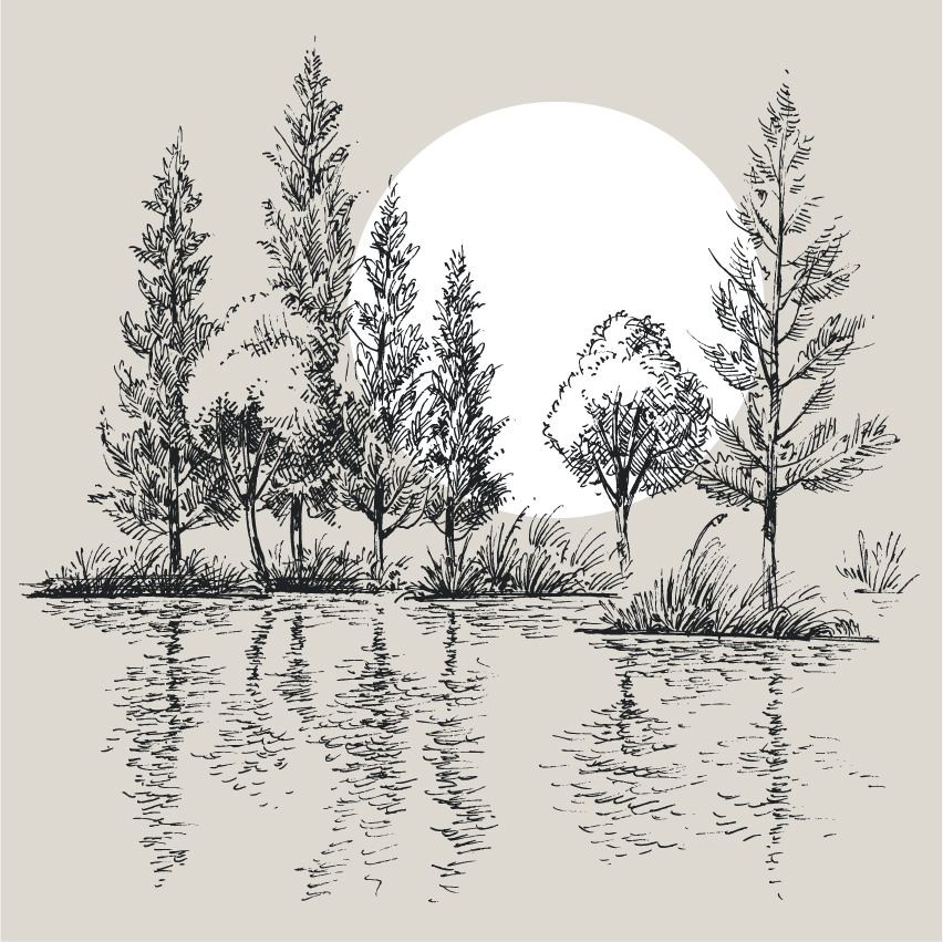 sketch of a reflection of trees with tall grasses on a lake